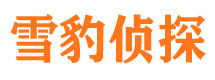 龙凤市婚外情调查